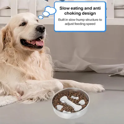 HausPets Comedero de acero inoxidable de alimentación lenta perros gatos