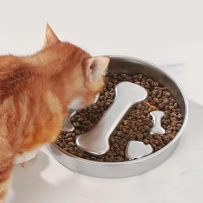 HausPets Gamelle Anti-Glouton Acier Inoxydable pour Chien et Chat