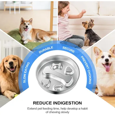 HausPets Gamelle Anti-Glouton Acier Inoxydable pour Chien et Chat