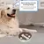 HausPets Gamelle Anti-Glouton Acier Inoxydable pour Chien et Chat