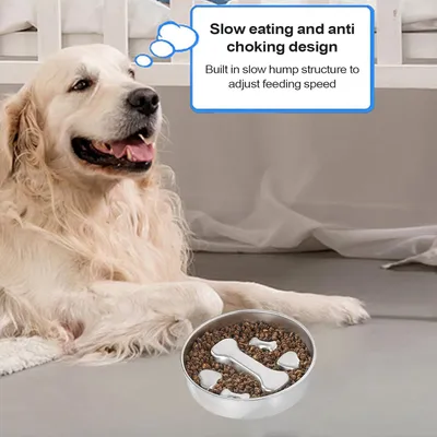HausPets Gamelle Anti-Glouton Acier Inoxydable pour Chien et Chat
