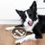 HausPets Gamelle Anti-Glouton Acier Inoxydable pour Chien et Chat