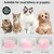 HausPets Gamelle Inclinable Antidérapante pour Chien et Chat, Rose