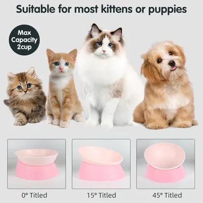 HausPets Gamelle Inclinable Antidérapante pour Chien et Chat, Rose