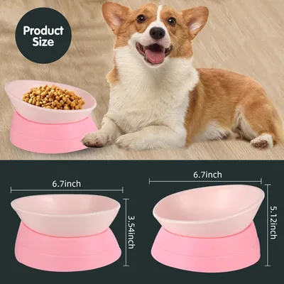 HausPets Gamelle Inclinable Antidérapante pour Chien et Chat, Rose