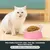 HausPets Gamelle Inclinable Antidérapante pour Chien et Chat, Rose