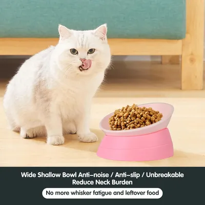 HausPets Gamelle Inclinable Antidérapante pour Chien et Chat, Rose