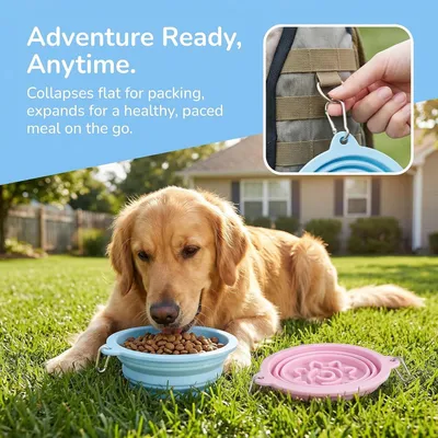 HausPets lot 2 gamelles pliables chien chat anti glouton antidérapantes
