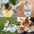 HausPets lot 2 gamelles pliables chien chat anti glouton antidérapantes