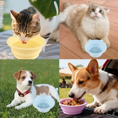 HausPets lot 2 gamelles pliables chien chat anti glouton antidérapantes