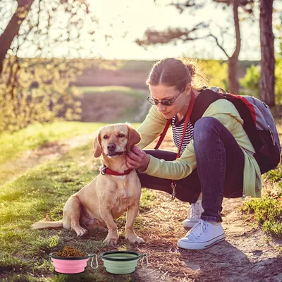 HausPets bol chien pliable couvercle hauteur réglable léger rando camping