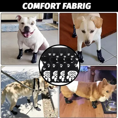 HausPets Paquete de 2 pares de calcetines antideslizantes para perros (M)