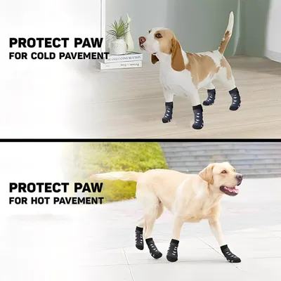 HausPets Paquete de 2 pares de calcetines antideslizantes para perros (M)