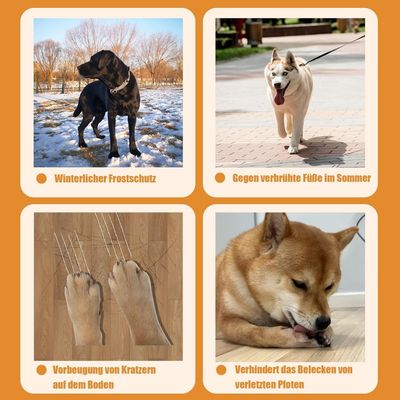HausPets Lot de 2 Paires Chaussettes Anti-léchage Chien (Noir, L)