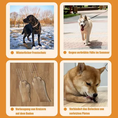 HausPets Paquete de 2 pares calcetines antilamido perros (negro, talla L)