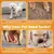HausPets Calcetines antideslizantes para perros XL