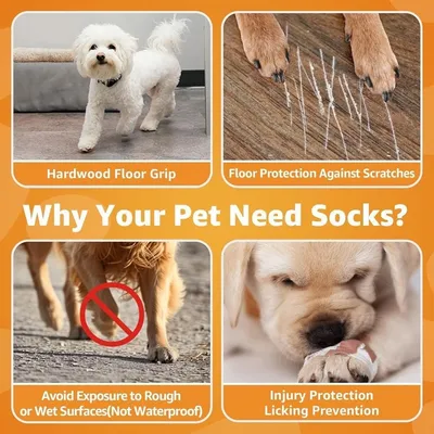 HausPets Calcetines antideslizantes para perros XL