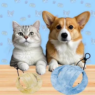 HausPets Sonnenhut Hund Katze Ohren Größe S Gelb HausPets Sonnenhut Hund Katze Ohren Größe S Gelb