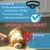 Hausofpets Collier GPS pour chien et chat Hausofpets Collier GPS pour chien et chat