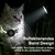 Hausofpets Collier GPS pour chien et chat Hausofpets Collier GPS pour chien et chat