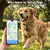 Hausofpets Collier GPS pour chien et chat