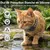 Hausofpets Collier GPS pour chien et chat