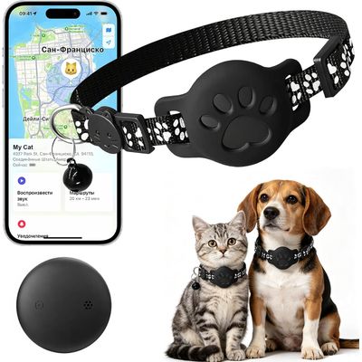 Collier GPS chat chien sans carte SIM localisation temps réel étanche