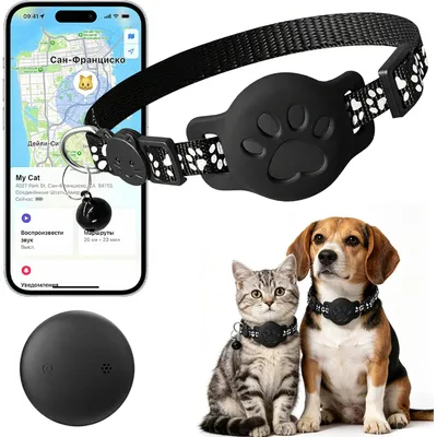Collier GPS chat chien sans carte SIM localisation temps réel étanche Collier GPS chat chien sans carte SIM localisation temps réel étanche