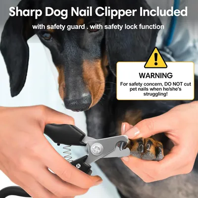 Lime ongles chien LED 2 vitesses anti poussière