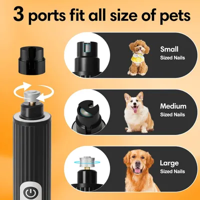 Lime ongles chien LED 2 vitesses anti poussière