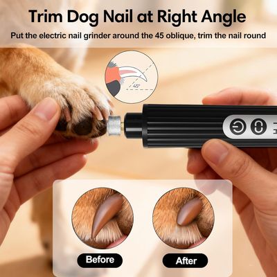Lime ongles chien LED 2 vitesses anti poussière