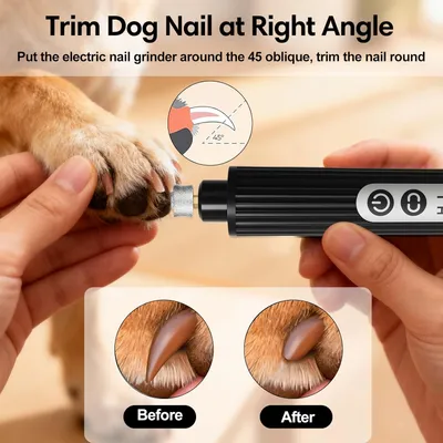 Lime ongles chien LED 2 vitesses anti poussière