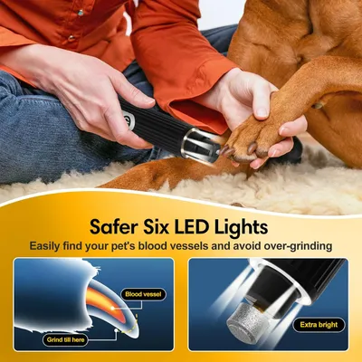 Lime ongles chien LED 2 vitesses anti poussière