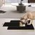 Scratch pad chien planche gratter bois boîte friandises