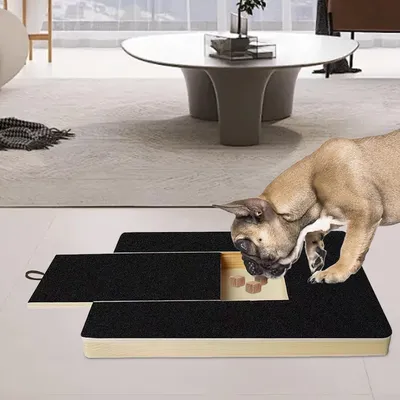Scratch pad chien planche gratter bois boîte friandises