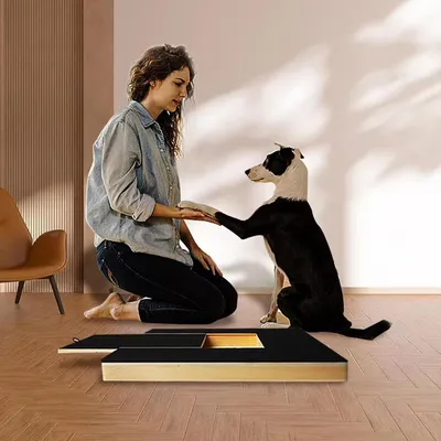 Scratch pad chien planche gratter bois boîte friandises