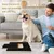 Scratch pad chien planche gratter bois boîte friandises