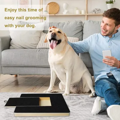 Scratch pad chien planche gratter bois boîte friandises