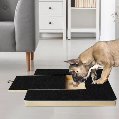 Scratch pad chien planche gratter bois boîte friandises