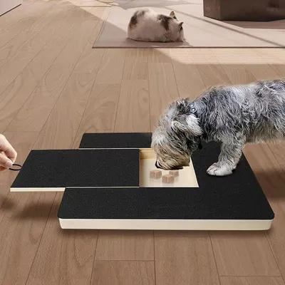 Scratch pad chien planche gratter bois boîte friandises