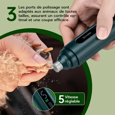 Lime ongles chien électrique 5 vitesses LED rechargeable vert Lime ongles chien électrique 5 vitesses LED rechargeable vert