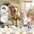 Lime ongles électrique 2 en 1 chien chat LED anti éclaboussures Lime ongles électrique 2 en 1 chien chat LED anti éclaboussures
