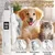 Lime ongles électrique 2 en 1 chien chat LED anti éclaboussures Lime ongles électrique 2 en 1 chien chat LED anti éclaboussures