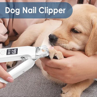 Lime ongles électrique 2 en 1 chien chat écran LED Lime ongles électrique 2 en 1 chien chat écran LED