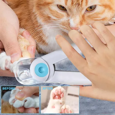Tondeuse ongles animaux LED 2 en 1 coupe lime électrique