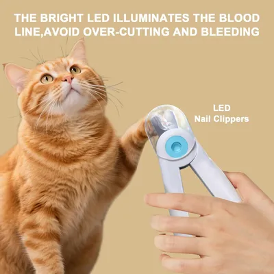Tondeuse ongles animaux LED 2 en 1 coupe lime électrique