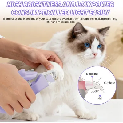 Lime ongles chien chat LED anti éclaboussures Lime ongles chien chat LED anti éclaboussures