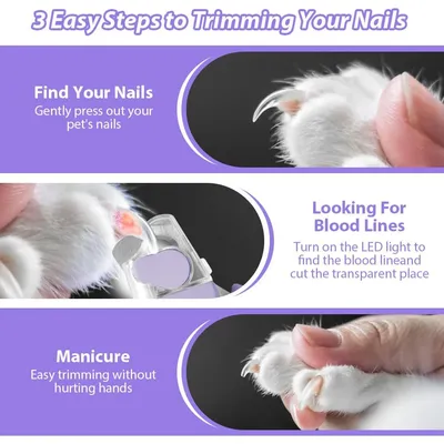 Lime ongles chien chat LED anti éclaboussures Lime ongles chien chat LED anti éclaboussures
