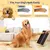 Griffoir chien bois massif boîte friandises 35x25x3 cm Griffoir chien bois massif boîte friandises 35x25x3 cm