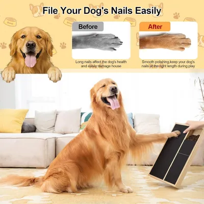 Griffoir chien bois massif boîte friandises 35x25x3 cm Griffoir chien bois massif boîte friandises 35x25x3 cm
